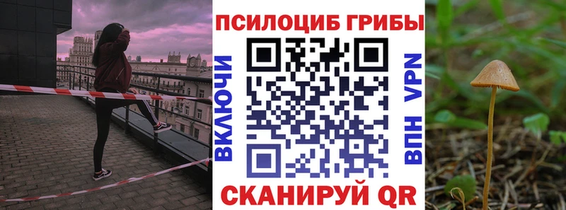 Псилоцибиновые грибы ЛСД Горняк